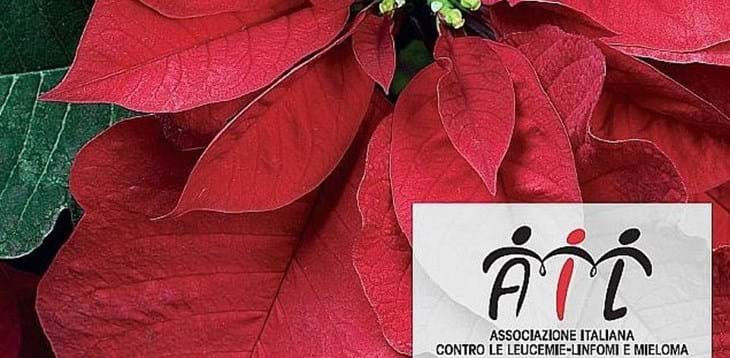 Venerdì le Stelle di Natale dell’AIL arrivano in FIGC